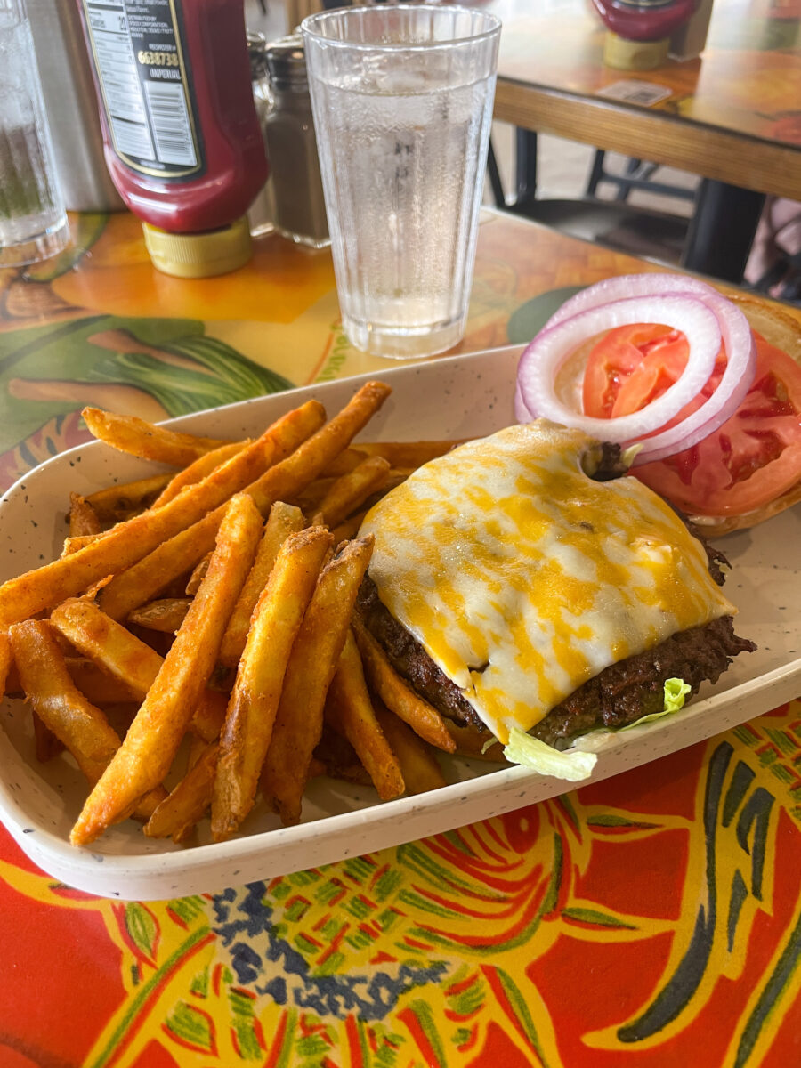 Cheese burger and french fries