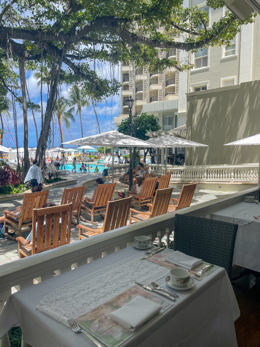 Banyan tree and poolside