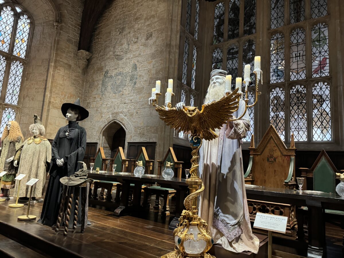 Dumbledore in the Great Hall