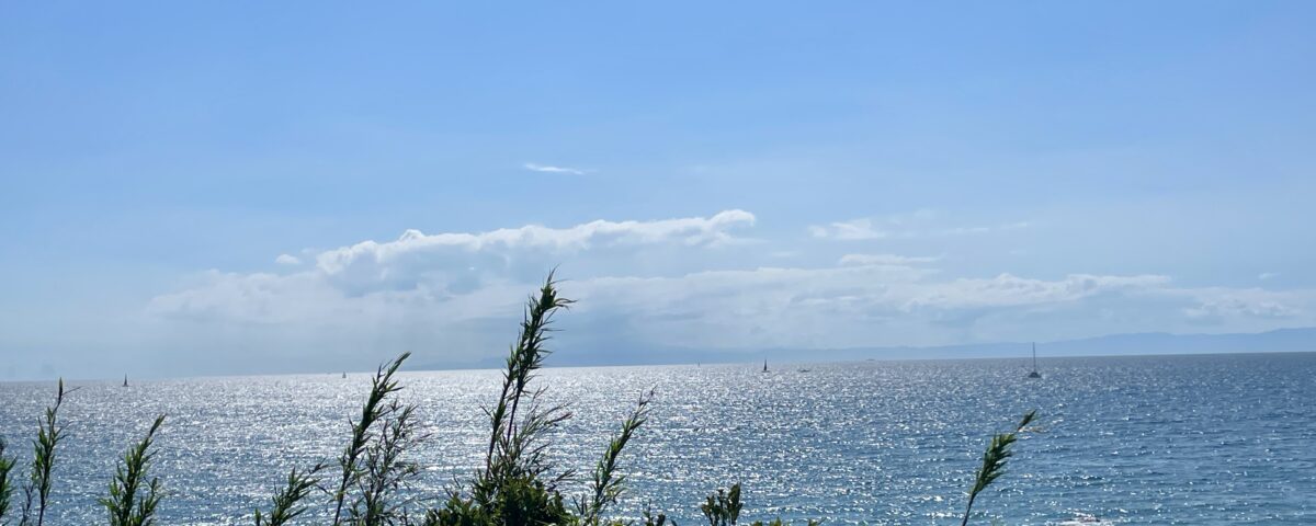 レストランオランジュブルーから見える一色海岸